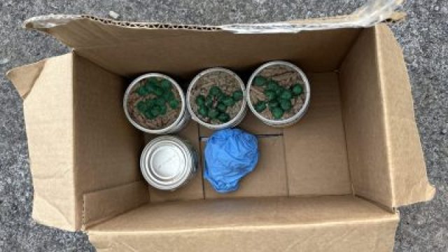 Concern Grows Over Contaminated Pet Food in Dryden Area