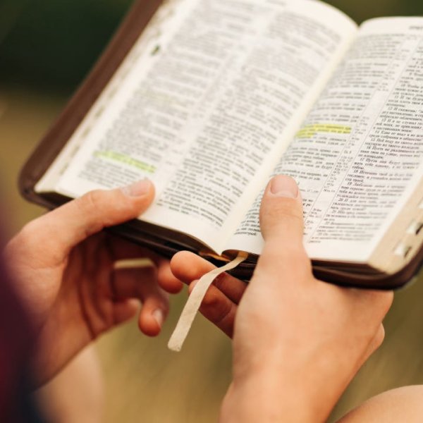Texas Schools Embrace Scripture: New Mandatory Bible Reading Law