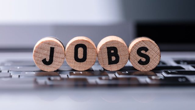 Anticipating the Insights of June's Employment Report