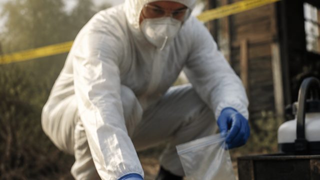 End of Hantavirus Quarantine: Key Insights for Travelers and Health Experts